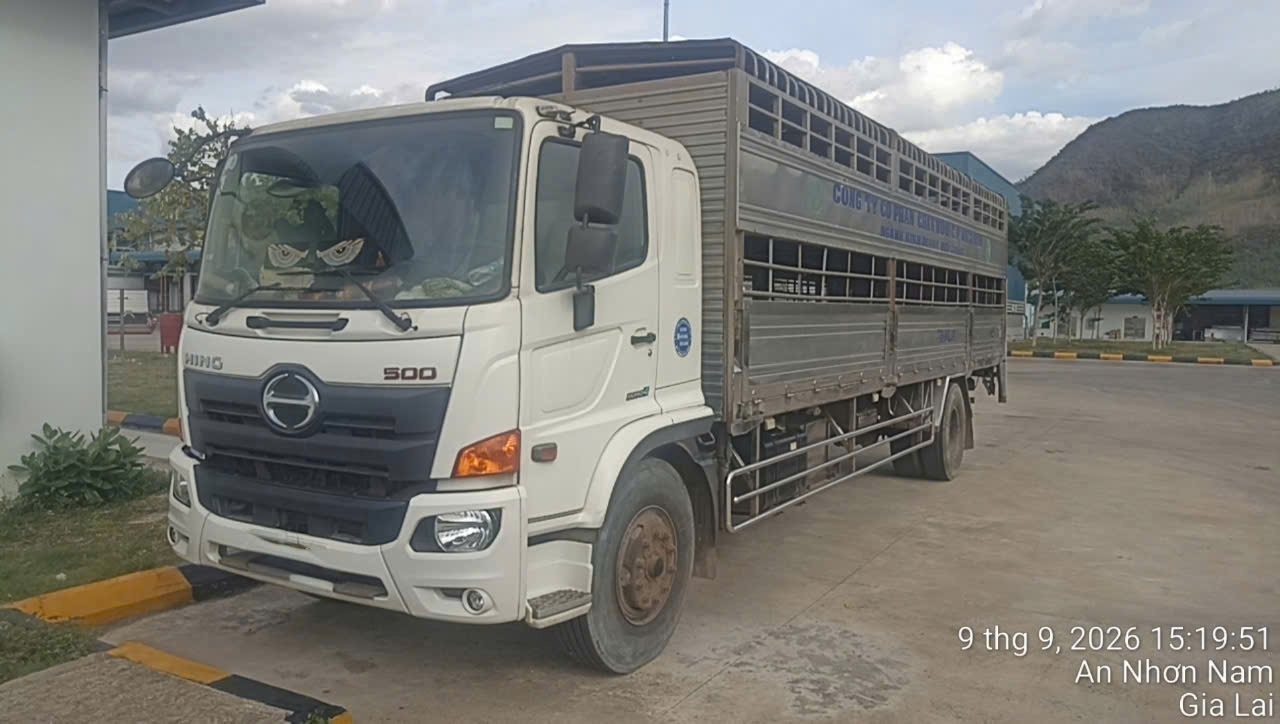 Bán xe tải Hino FG chở heo cũ 2022 - Thùng Inox 304